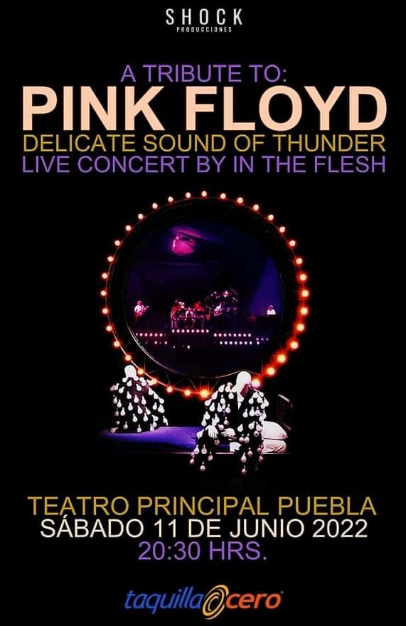 In The Flesh: Tributo a Pink Floyd.